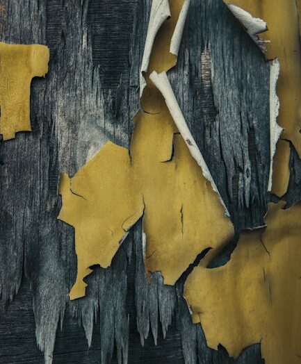 Malowanie domku – malowanie i lakierowanie drewna